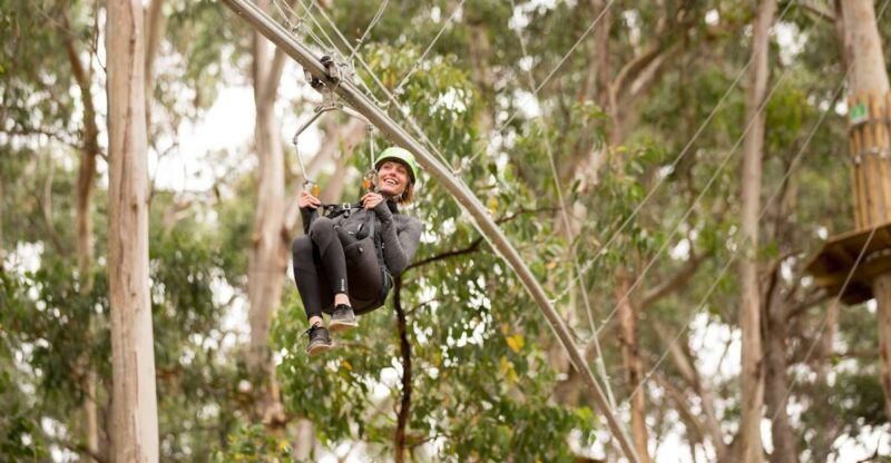Lorne: Live Wire Park Ticket with Zip Line Rollercoaster - Who Will Love This Experience