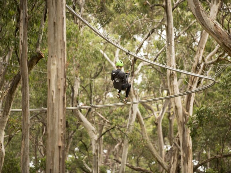 Lorne: Live Wire Park Ticket with Zip Line Rollercoaster - FAQ