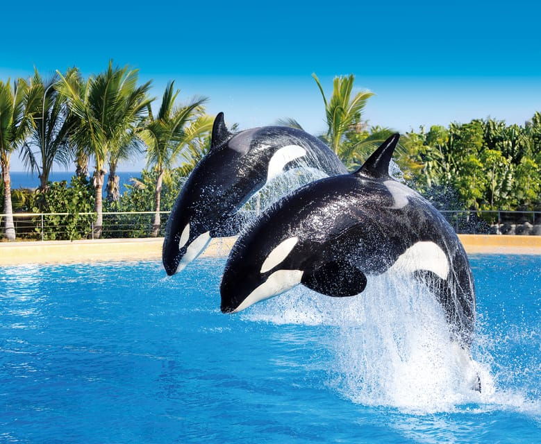 loro-parque-and-siam-park-combined-admission-tickets