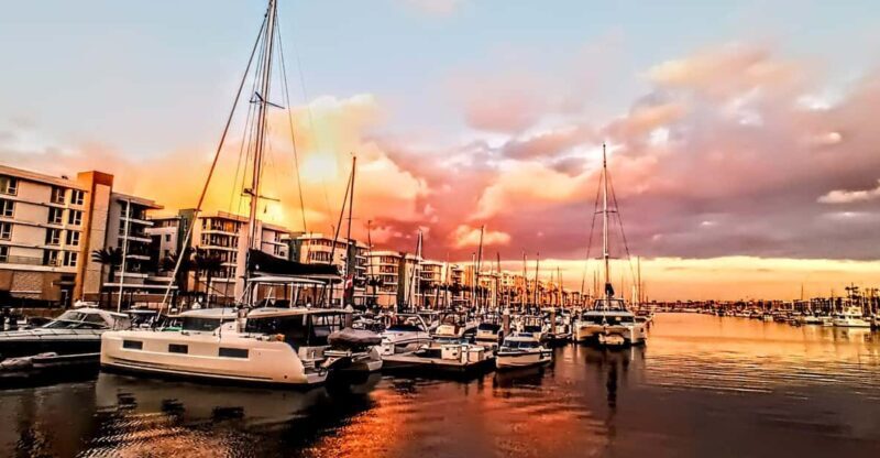 Los Angeles #1: Luxury Boat Cruise-Wine, Cheese & Sea Lions - Food, Drink, and Add-Ons: Elevating Your Experience