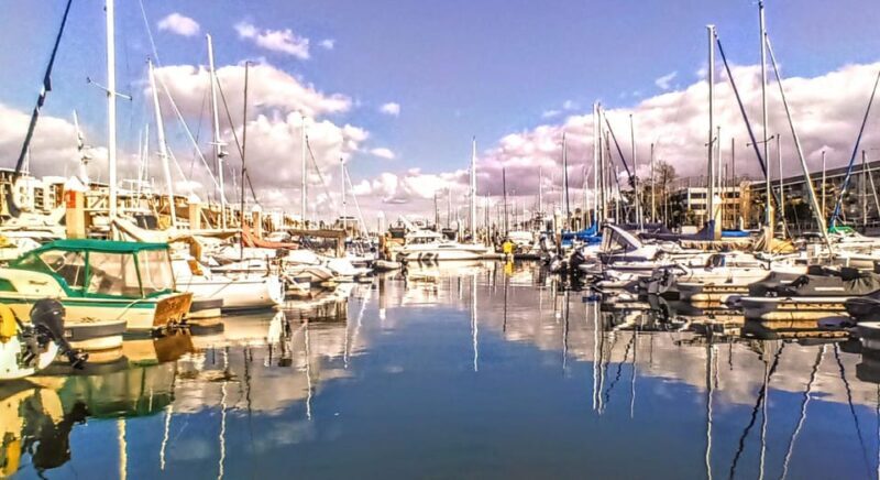 Los Angeles #1: Luxury Boat Cruise-Wine, Cheese & Sea Lions - Authentic Guest Experiences