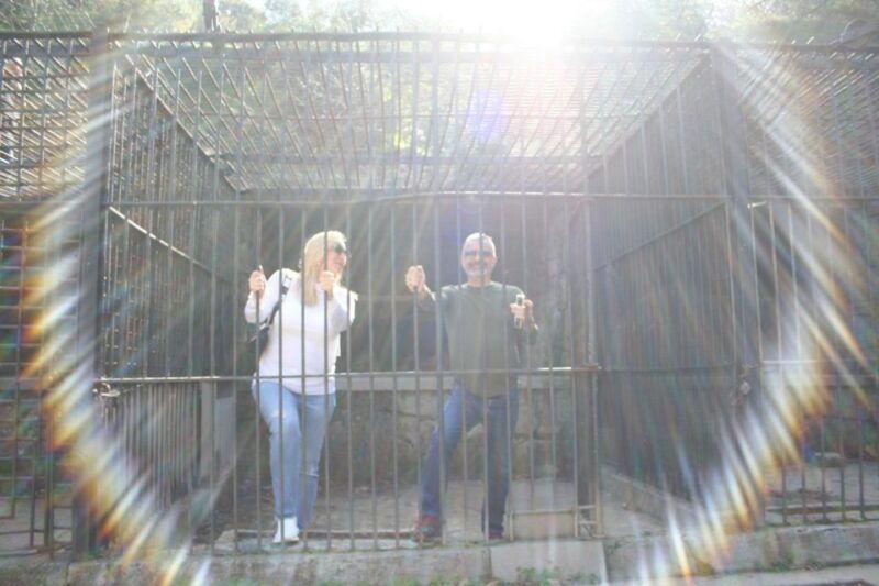 los-angeles-2-5hr-minicar-guided-discover-la-tour-you-drive