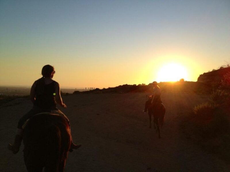 los-angeles-2-hour-hollywood-trail-horseback-riding-tour