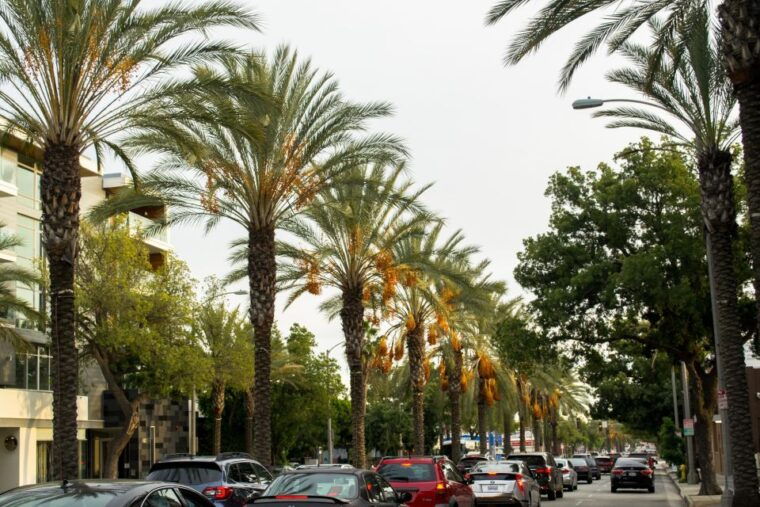 los-angeles-3-hour-private-driving-tour-w-local-guide