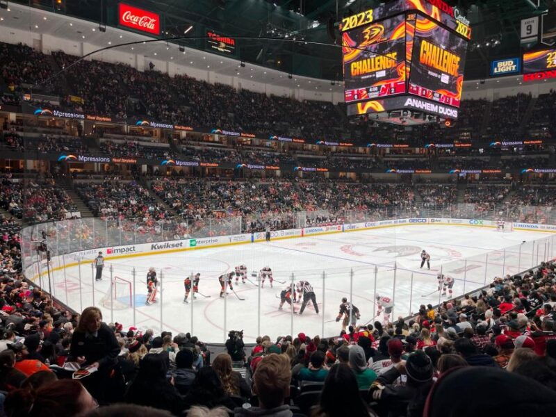 los-angeles-anaheim-ducks-ice-hockey-game-ticket