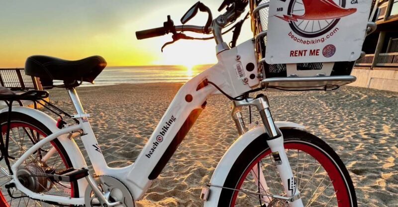 Los Angeles: Beach E-Bike Ride Redondo Beach to Santa Monica - Who Will Love This Tour?