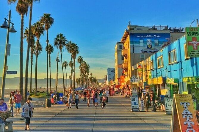 Los Angeles Half-Day Private Car Tour With a Guide - What the Reviews Say