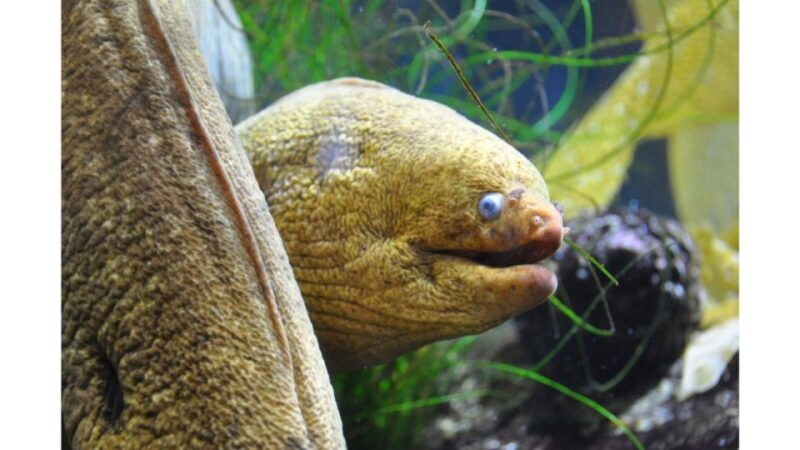 Los Angeles: Heal The Bay Aquarium in Santa Monica - Los Angeles: Heal The Bay Aquarium in Santa Monica