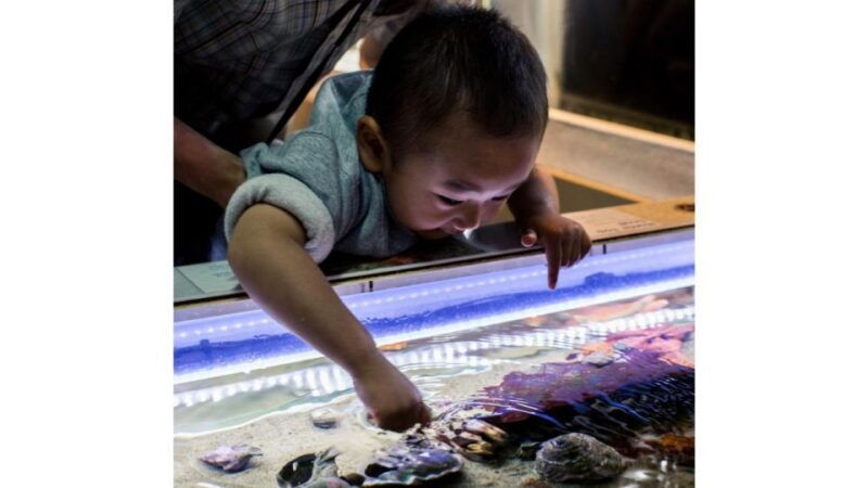los-angeles-heal-the-bay-aquarium-in-santa-monica