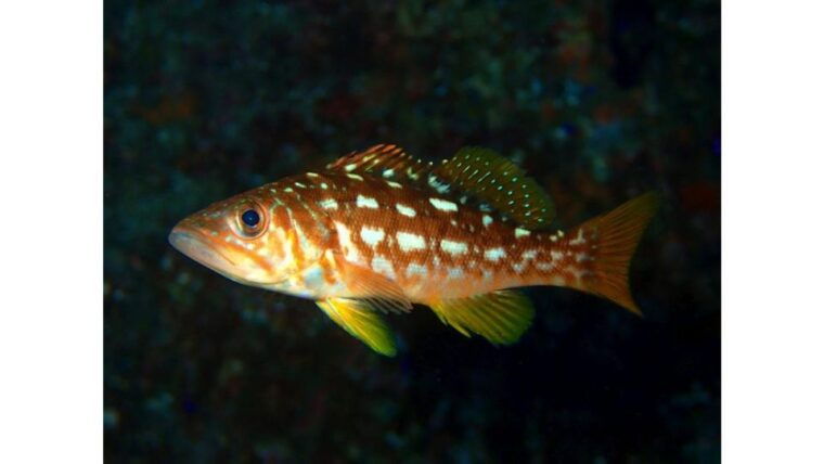 los-angeles-heal-the-bay-aquarium-in-santa-monica