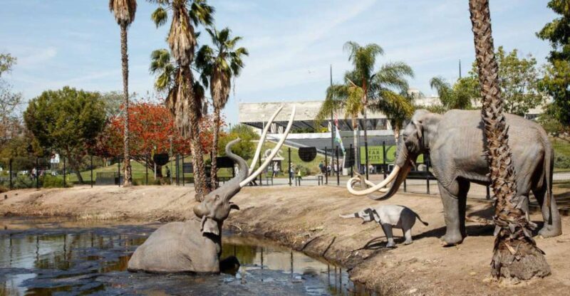 Los Angeles: La Brea Tar Pits Museum Ticket - An In-Depth Look at the La Brea Tar Pits Museum Experience