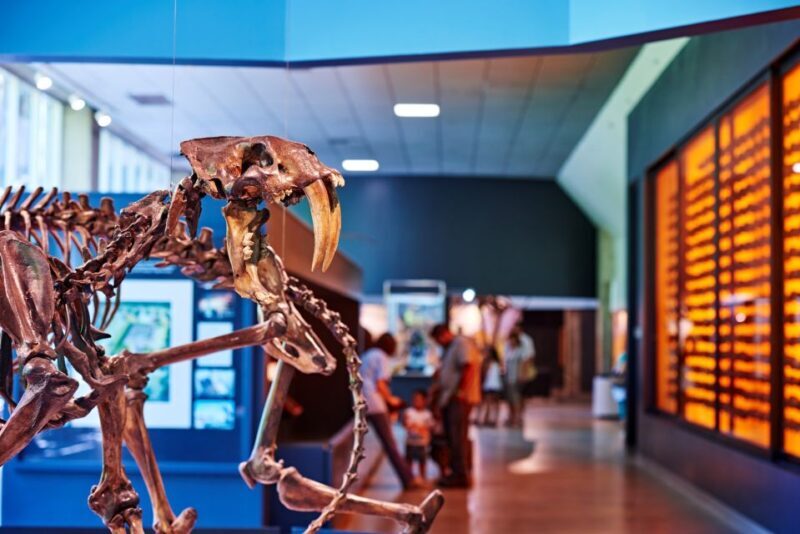 Los Angeles: La Brea Tar Pits Museum Ticket - Practical Tips for Visiting