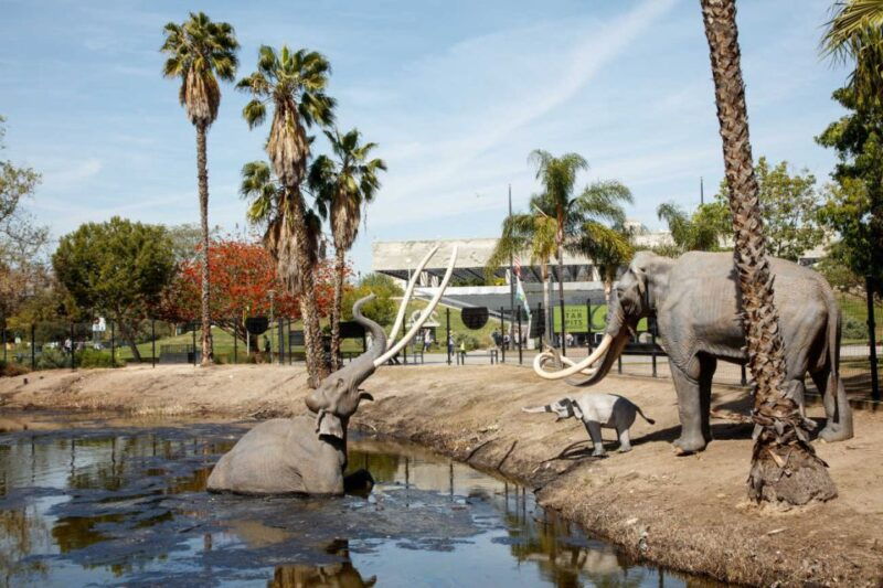 los-angeles-la-brea-tar-pits-museum-ticket