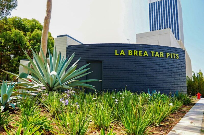 los-angeles-la-brea-tar-pits-museum-ticket
