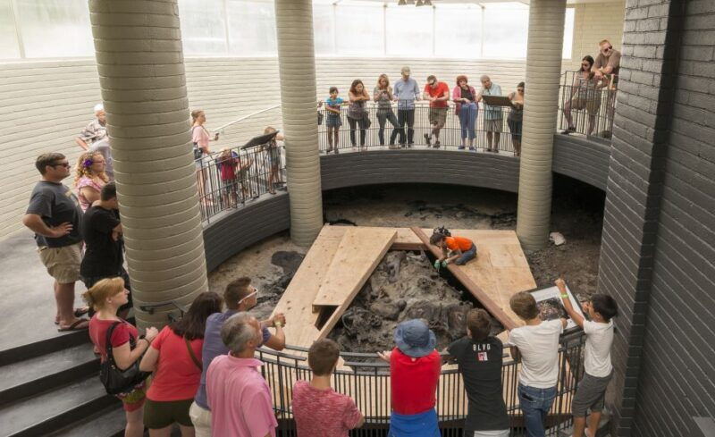 los-angeles-la-brea-tar-pits-museum-ticket