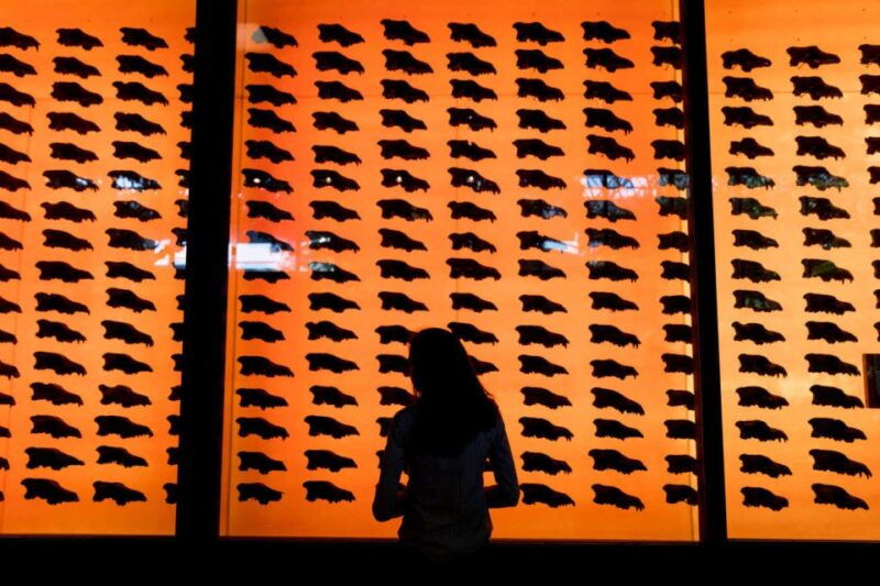 los-angeles-la-brea-tar-pits-museum-ticket