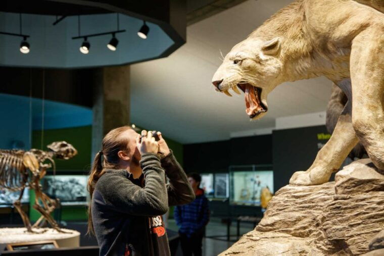 los-angeles-la-brea-tar-pits-museum-ticket