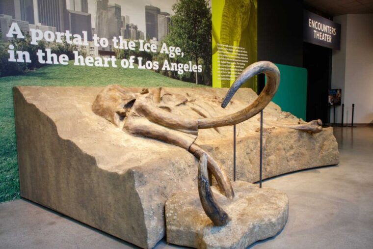 los-angeles-la-brea-tar-pits-museum-ticket