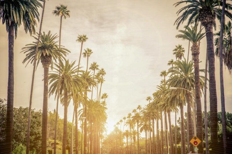 los-angeles-la-in-a-day-guided-electric-bike-tour
