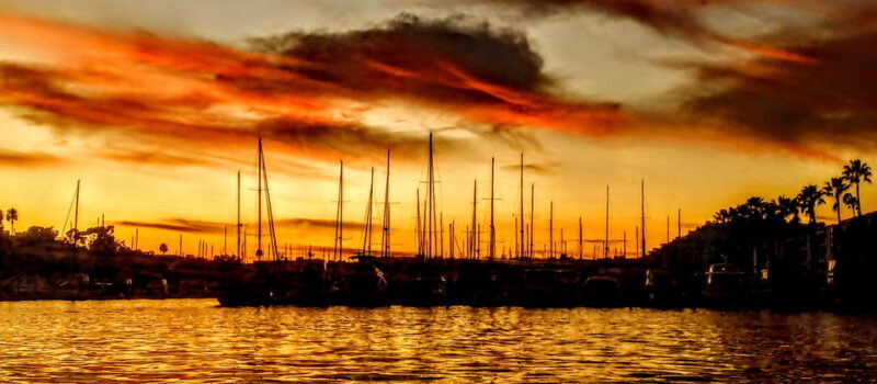 Los Angeles Luxury Cruise w/ Wine, Charcuterie & Sealions - What makes this cruise stand out?
