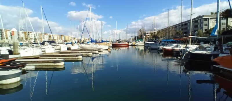 Los Angeles Luxury Cruise w/ Wine, Charcuterie & Sealions - The overall value and experience