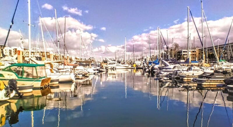 los-angeles-luxury-cruise-with-wine-cheese-sea-lions-2