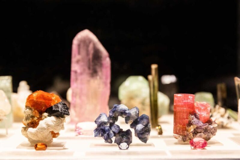Los Angeles: Natural History Museum of LA Entry Ticket - Who Will Love This Experience?