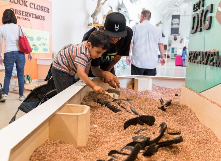 los-angeles-natural-history-museum-of-la-entry-ticket