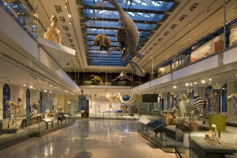los-angeles-natural-history-museum-of-la-entry-ticket