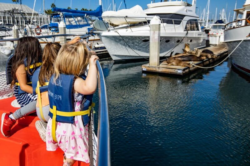 los-angeles-redondo-beach-glass-bottom-boat-cruise