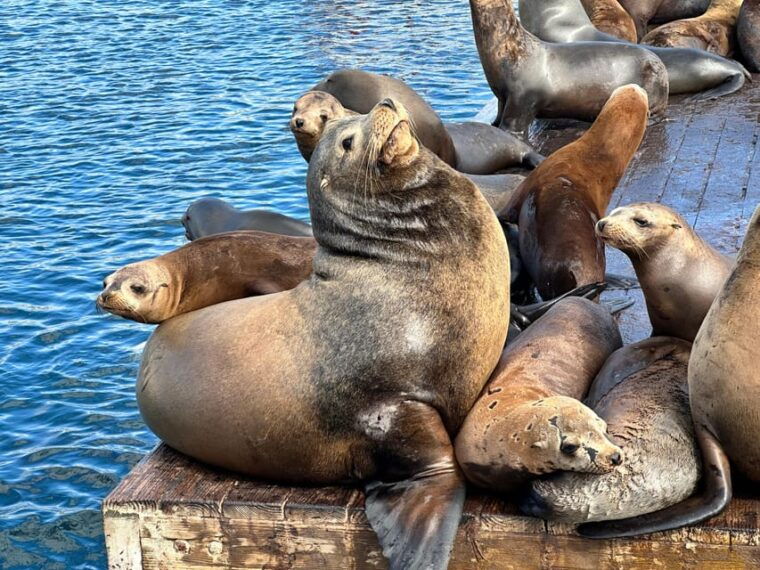 los-angeles-redondo-beach-glass-bottom-boat-cruise