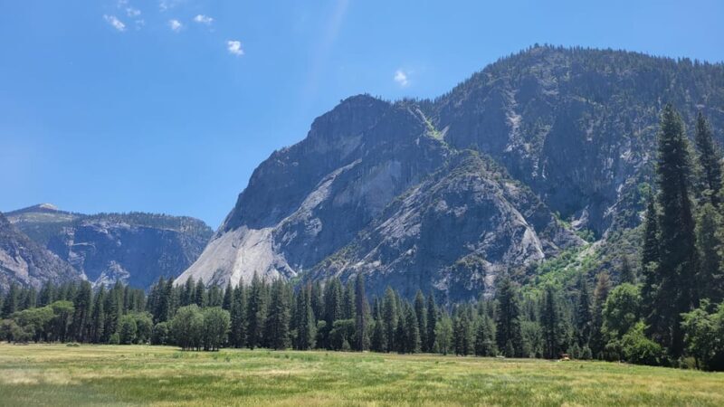 Los Angeles: Yosemite and Sequoia National Parks 2-Day Trip - What Reviewers Say About This Tour