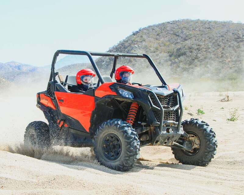 Los Cabos: 2 in 1 Combo Tour - Insights from Traveler Reviews