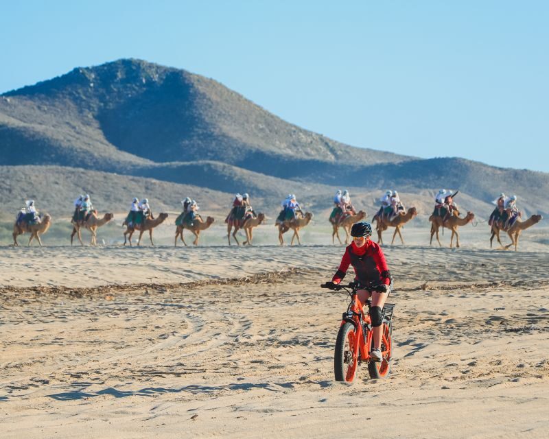 Los Cabos: 2 in 1 Combo Tour - Final Thoughts: Who Is This Tour Perfect For?