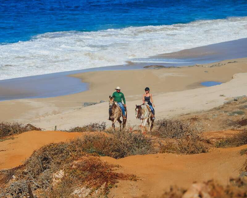 Los Cabos: 2 in 1 Combo Tour - FAQ