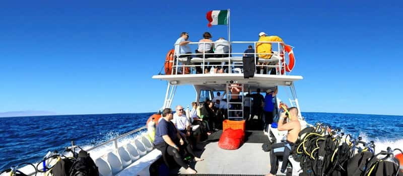 Los Cabos 3-Hour Certified Scuba Diving Tour - Who Will Love This Tour?