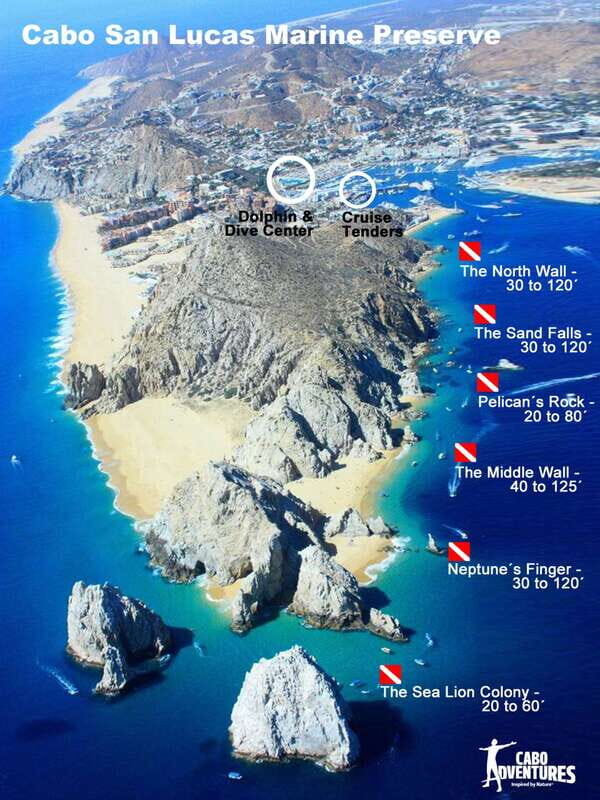 Los Cabos 3-Hour Certified Scuba Diving Tour - The Sum Up