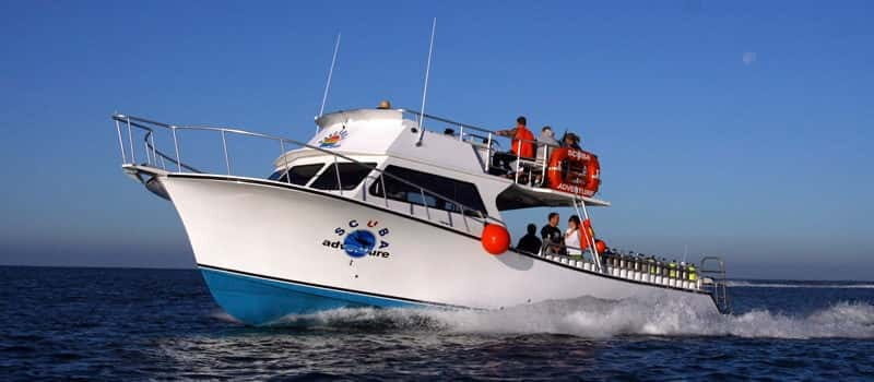 Los Cabos: 3-Hour Introductory Scuba Diving Adventure - Key Points