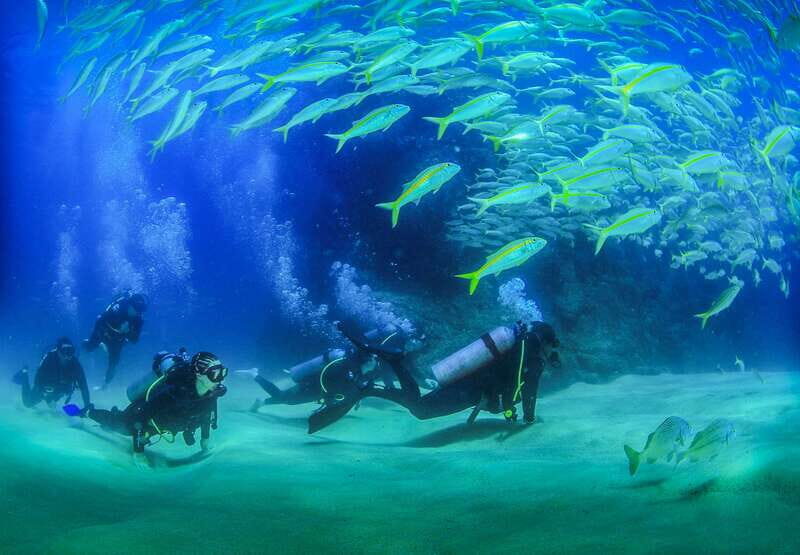 Los Cabos: 3-Hour Introductory Scuba Diving Adventure - The Value of This Experience