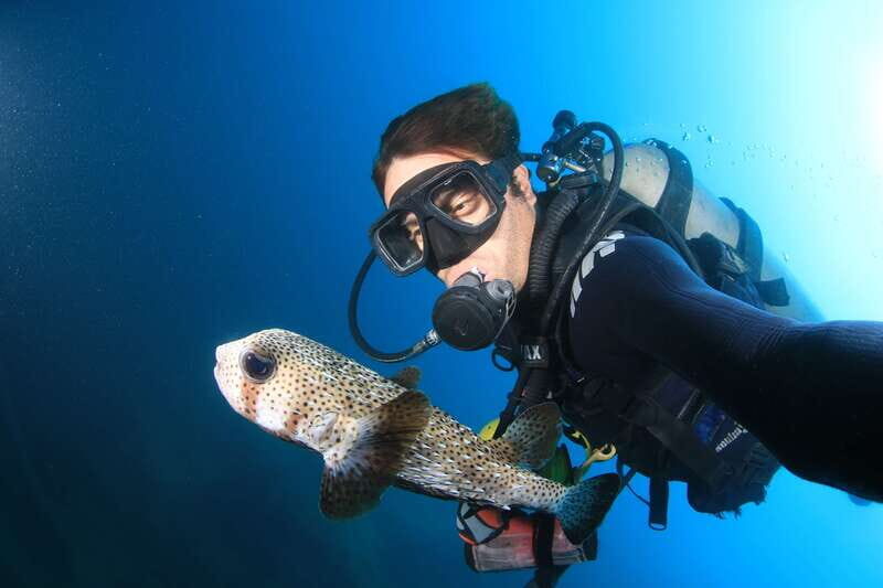 Los Cabos: 3-Hour Introductory Scuba Diving Adventure - Practical Tips for Your Dive Day