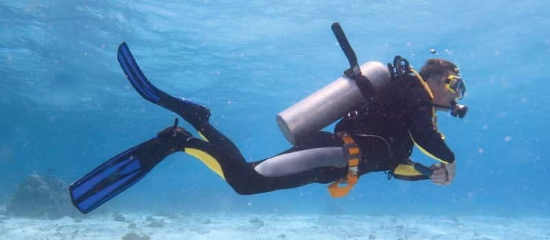 Los Cabos: 3-Hour Introductory Scuba Diving Adventure - FAQs