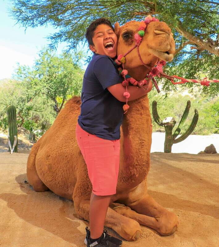 Los Cabos: Adventure Pass at Wild Canyon - The Complete Breakdown of the Wild Canyon Adventure Experience