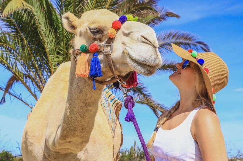 Los Cabos: Arch Tour by Speedboat and Camel Ride on Beach - Final Thoughts