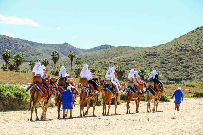 Los Cabos: Arch Tour by Speedboat and Camel Ride on Beach - Frequently Asked Questions