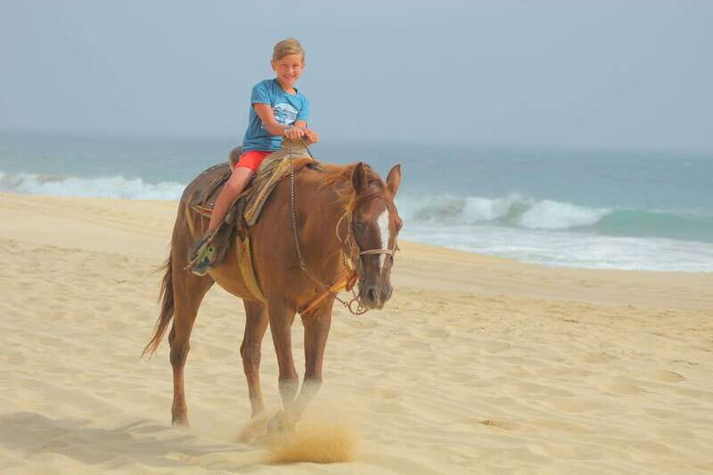 Los Cabos: ATV and Horseback Riding Tour - What to Expect on the Tour