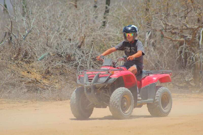 Los Cabos: ATV and Horseback Riding Tour - Who Will Enjoy This Experience?