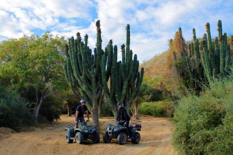 los-cabos-atv-beach-desert-with-transfer-tequila-tasting