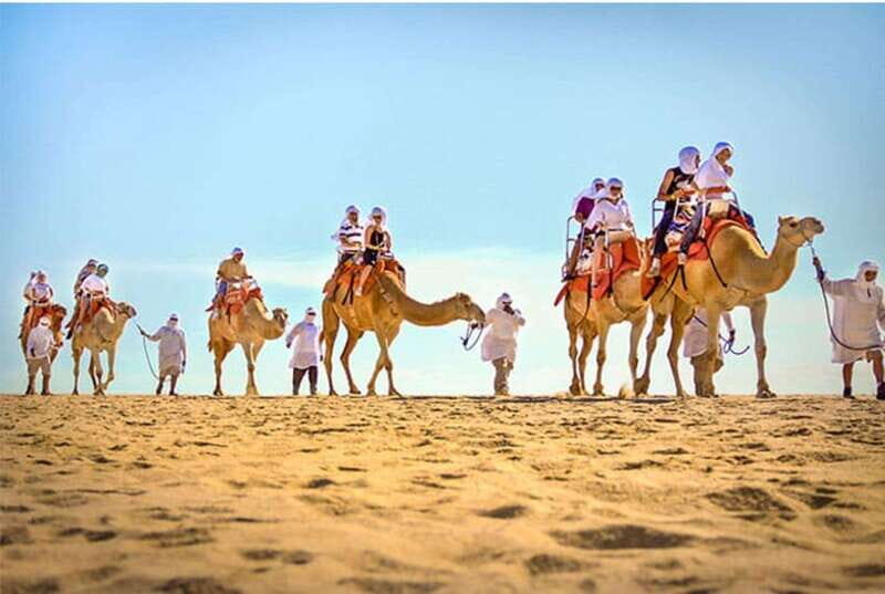 Los Cabos: Desert & Sea Camel Safari Tour with Lunch - An In-Depth Look at the Baja California Camel Safari