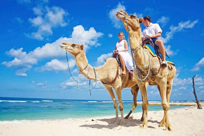Los Cabos: Desert & Sea Camel Safari Tour with Lunch - FAQ