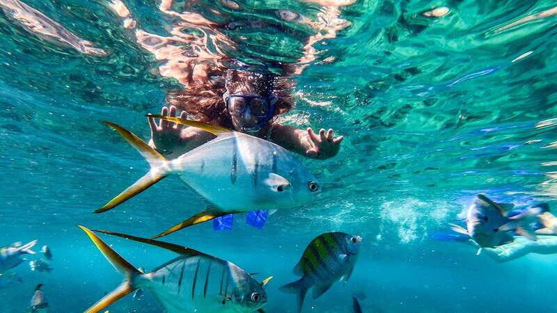 Los Cabos: El Arco, Chileno Beach, and Tequila Tasting Tour - Exploring the Los Cabos: El Arco, Chileno Beach, and Tequila Tasting Tour